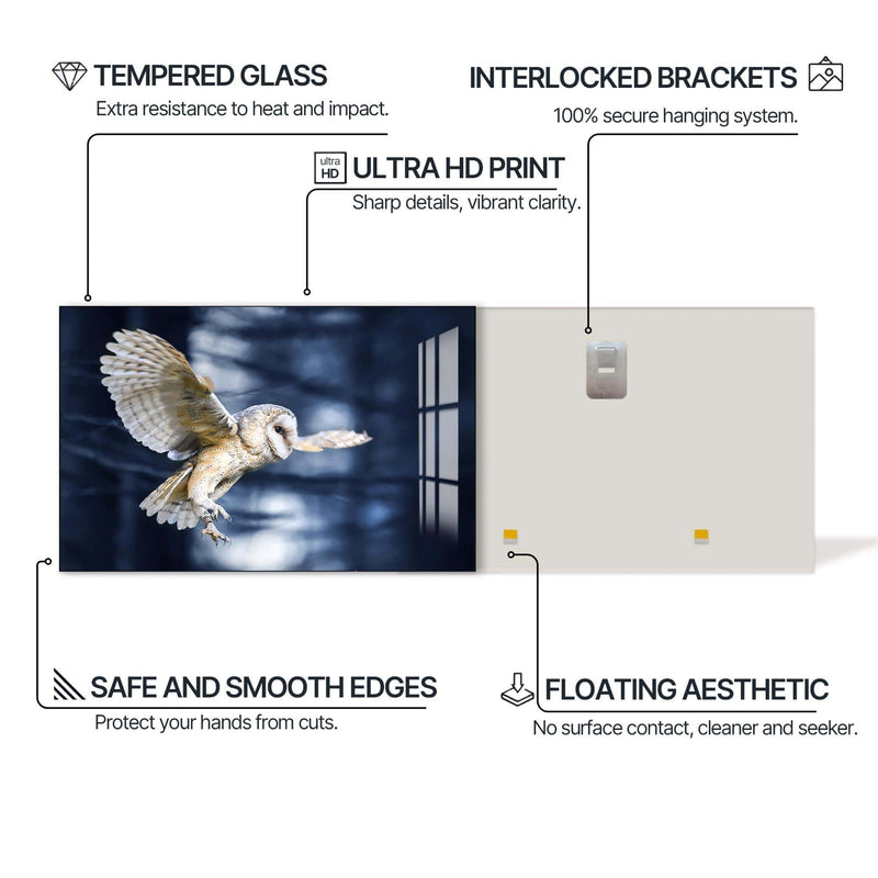 Artronauts Glass Print Owl in the Midnight Forest – Animal Tempered Glass Wall Art