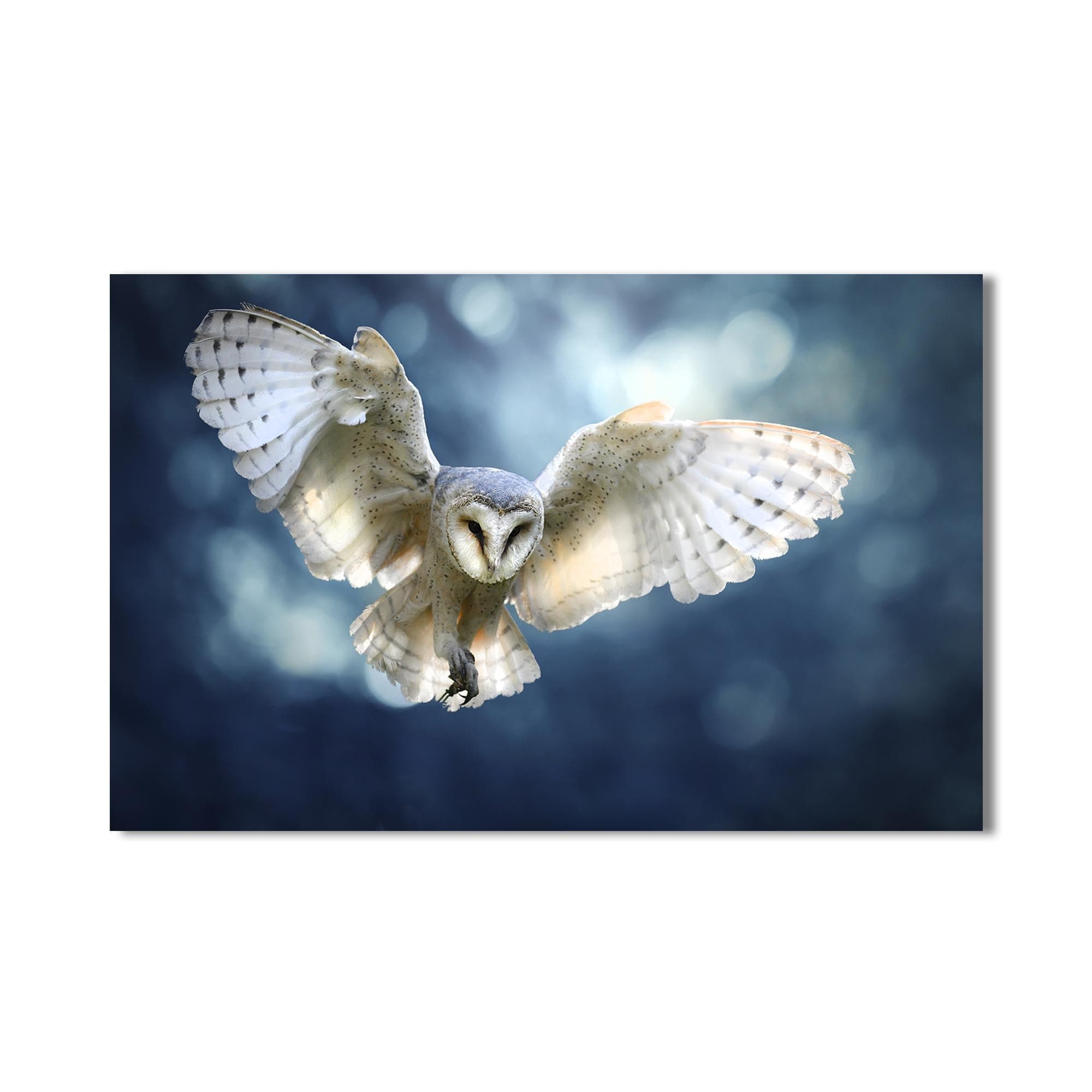 Artronauts Glass Print Glowing Barn Owl – Animal Tempered Glass Wall Art