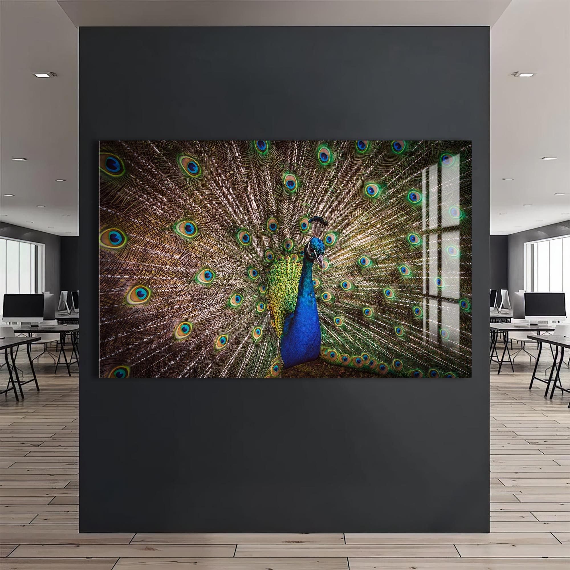 Artronauts Glass Print Majestic Peacock Display – Animal Tempered Glass Wall Art