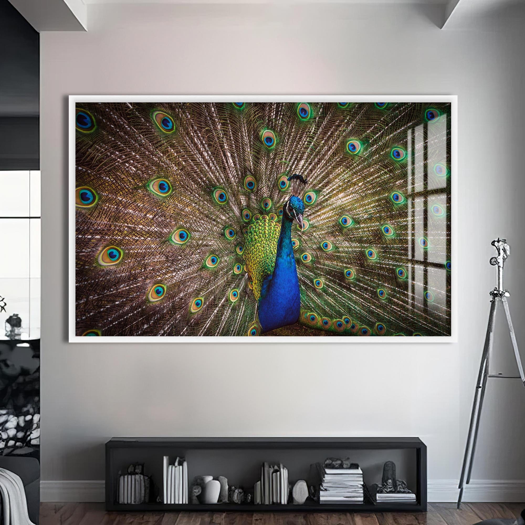 Artronauts Glass Print S | 72x46 cm | 28.3"x18.1" / White Majestic Peacock Display – Animal Tempered Glass Wall Art