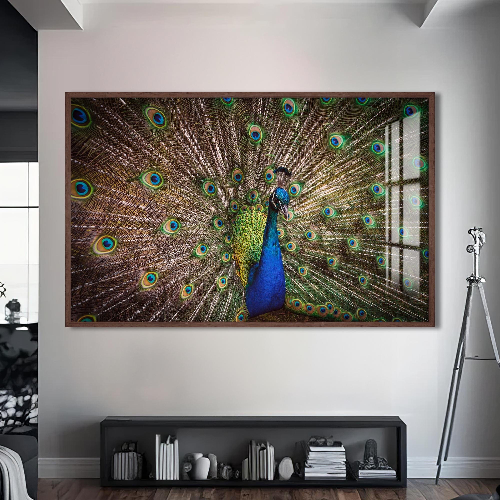 Artronauts Glass Print S | 72x46 cm | 28.3"x18.1" / Walnut Majestic Peacock Display – Animal Tempered Glass Wall Art
