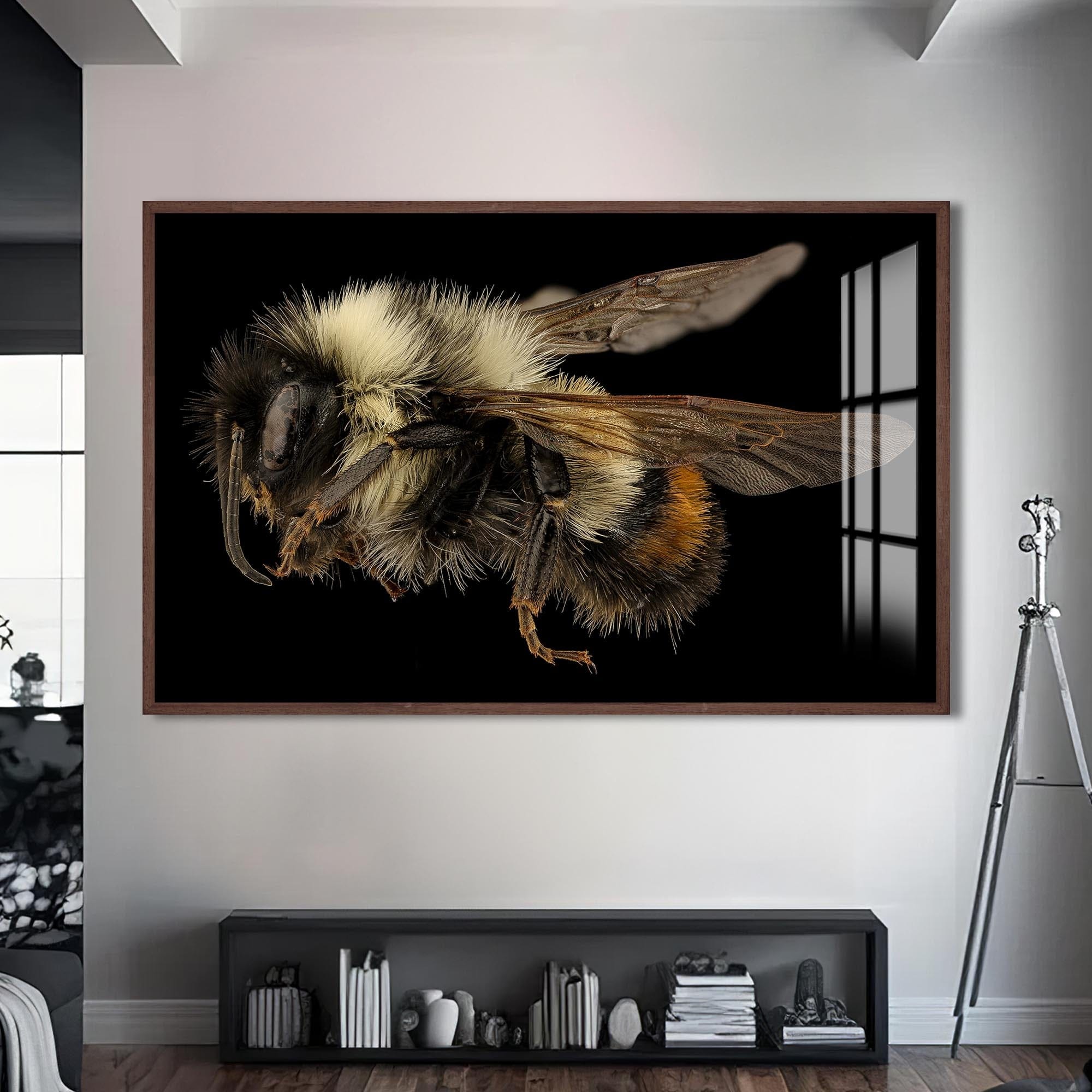 Artronauts Glass Print S | 72x46 cm | 28.3"x18.1" / Walnut Fuzzy Bumblebee Macro – Animal Tempered Glass Wall Art