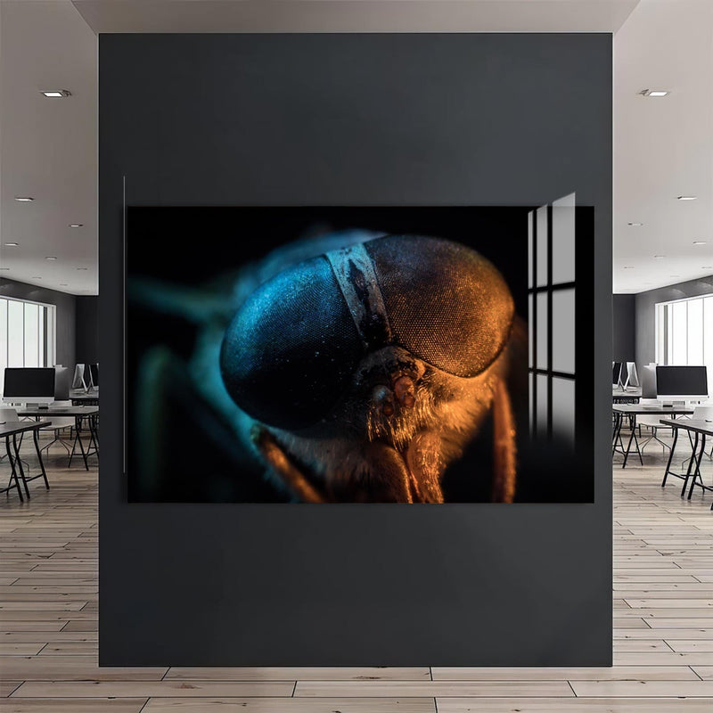 Artronauts Glass Print Dual-Tone Fly Close-Up – Animal Tempered Glass Wall Art