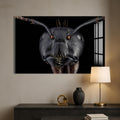 Artronauts Glass Print Black Ant Warrior – Animal Tempered Glass Wall Art