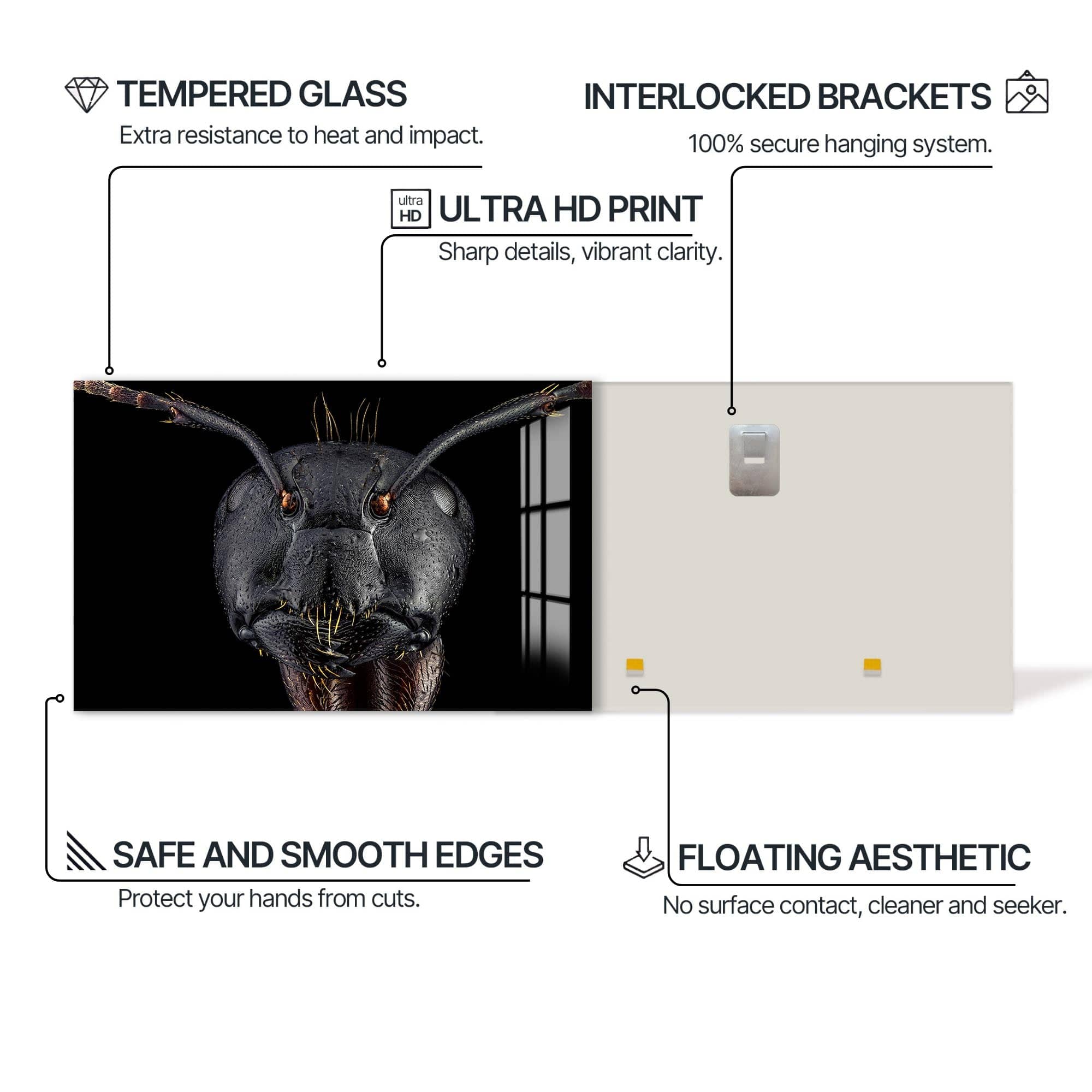 Artronauts Glass Print Black Ant Warrior – Animal Tempered Glass Wall Art