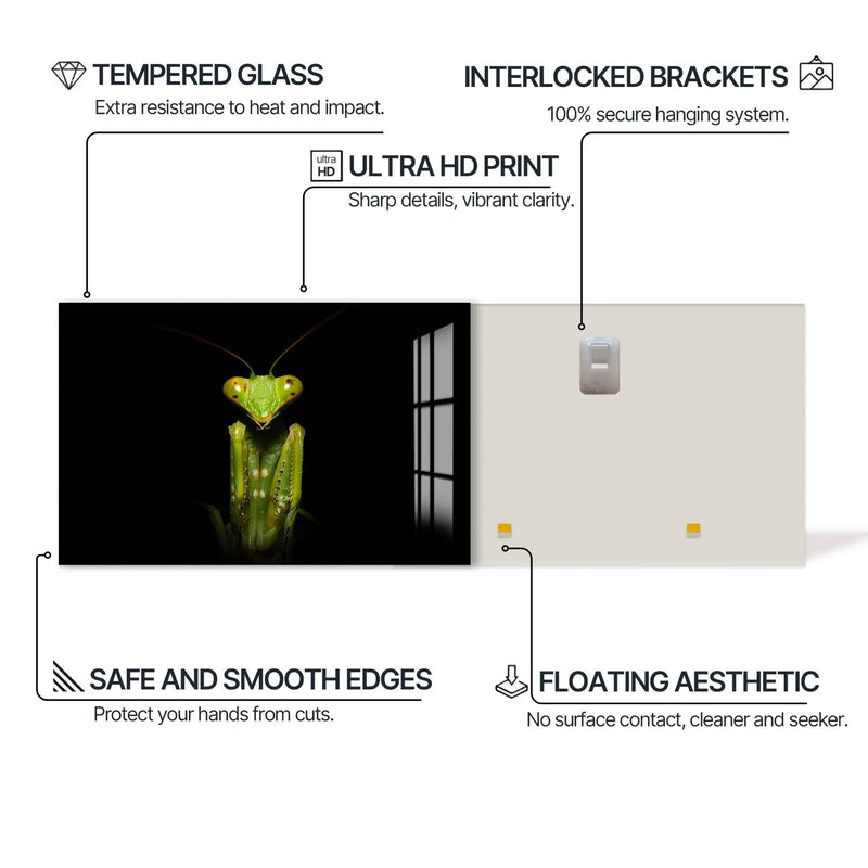 Artronauts Glass Print Green Mantis Portrait – Animal Tempered Glass Wall Art