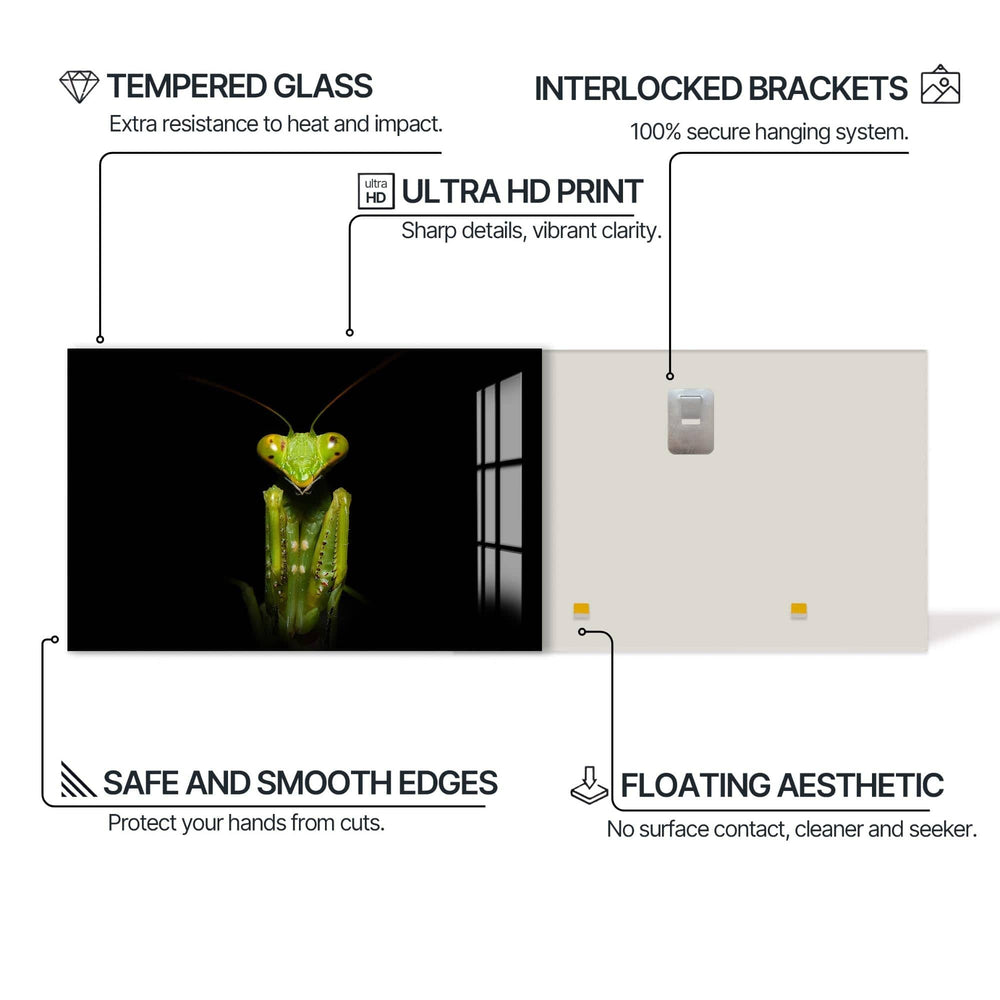 Artronauts Glass Print Green Mantis Portrait – Animal Tempered Glass Wall Art