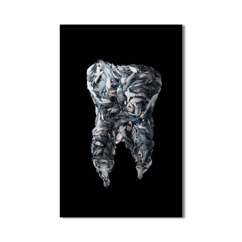 Artronauts Glass Print Shark Tooth - Tempered Glass Wall Art