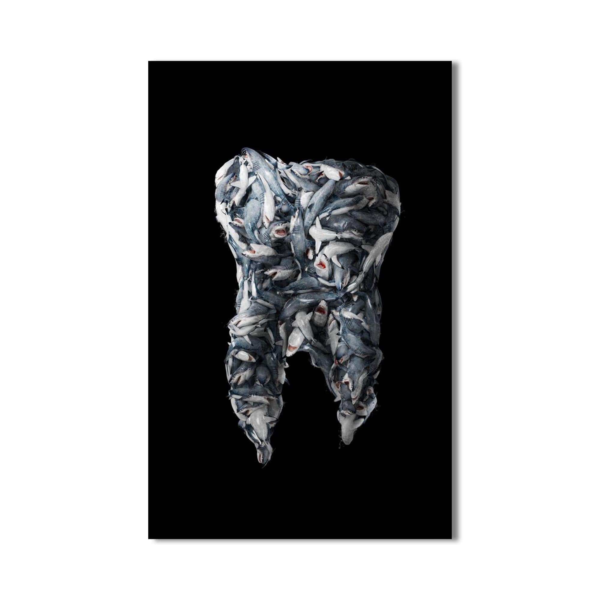Artronauts Glass Print Shark Tooth - Tempered Glass Wall Art