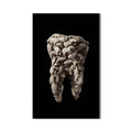 Artronauts Glass Print Polar Tooth Sculpture - Tempered Glass Wall Art