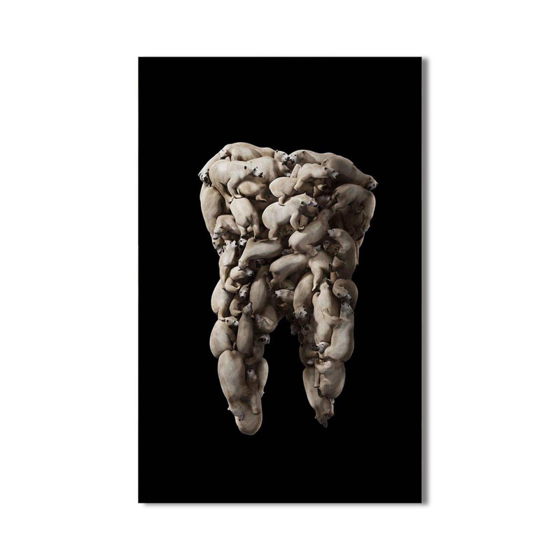 Artronauts Glass Print Polar Tooth Sculpture - Tempered Glass Wall Art