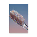 Artronauts Glass Print Glitter Toothbrush Sparkle - Tempered Glass Wall Art