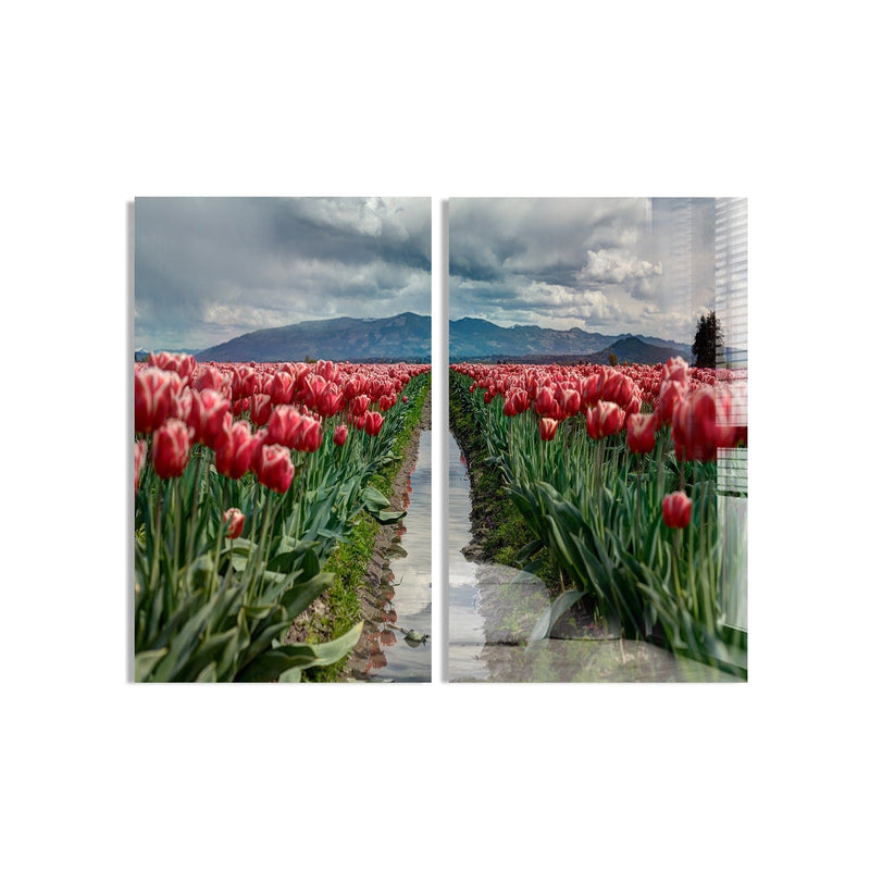 Artronauts Glass Print 140x110 cm | 55.5"x43.5" Rose Garden