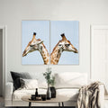 Artronauts Glass Print 140x110 cm | 55.5"x43.5" Giraffes Duo