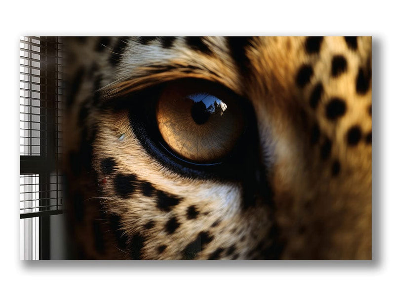 Artronauts Glass Print Leopard Eye