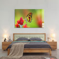 Artronauts Glass Print Lovely Butterfly