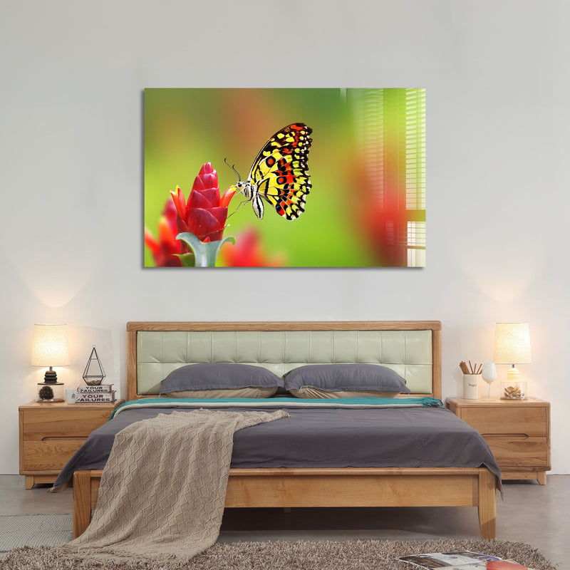 Artronauts Glass Print Lovely Butterfly