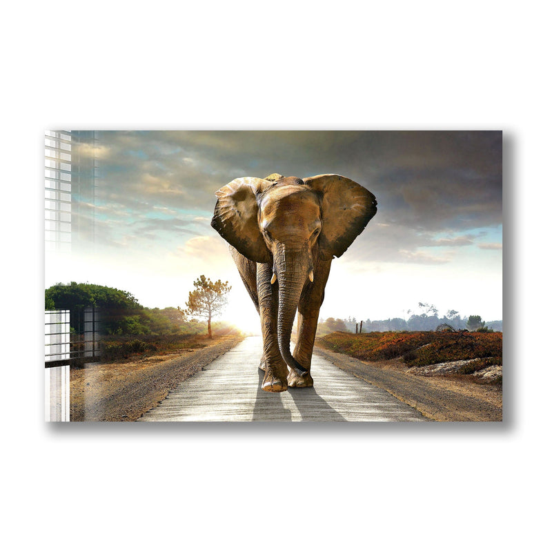Artronauts Glass Print Lonely Elephant