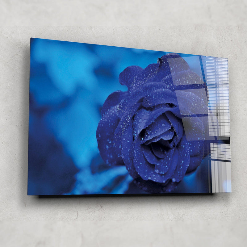 Artronauts Glass Print Cold Rose
