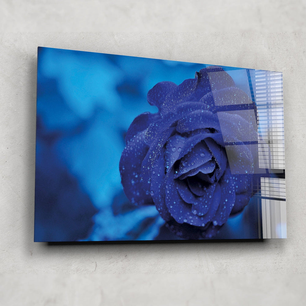 Artronauts Glass Print Cold Rose