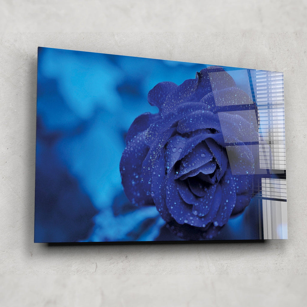 Cold Rose Artronauts