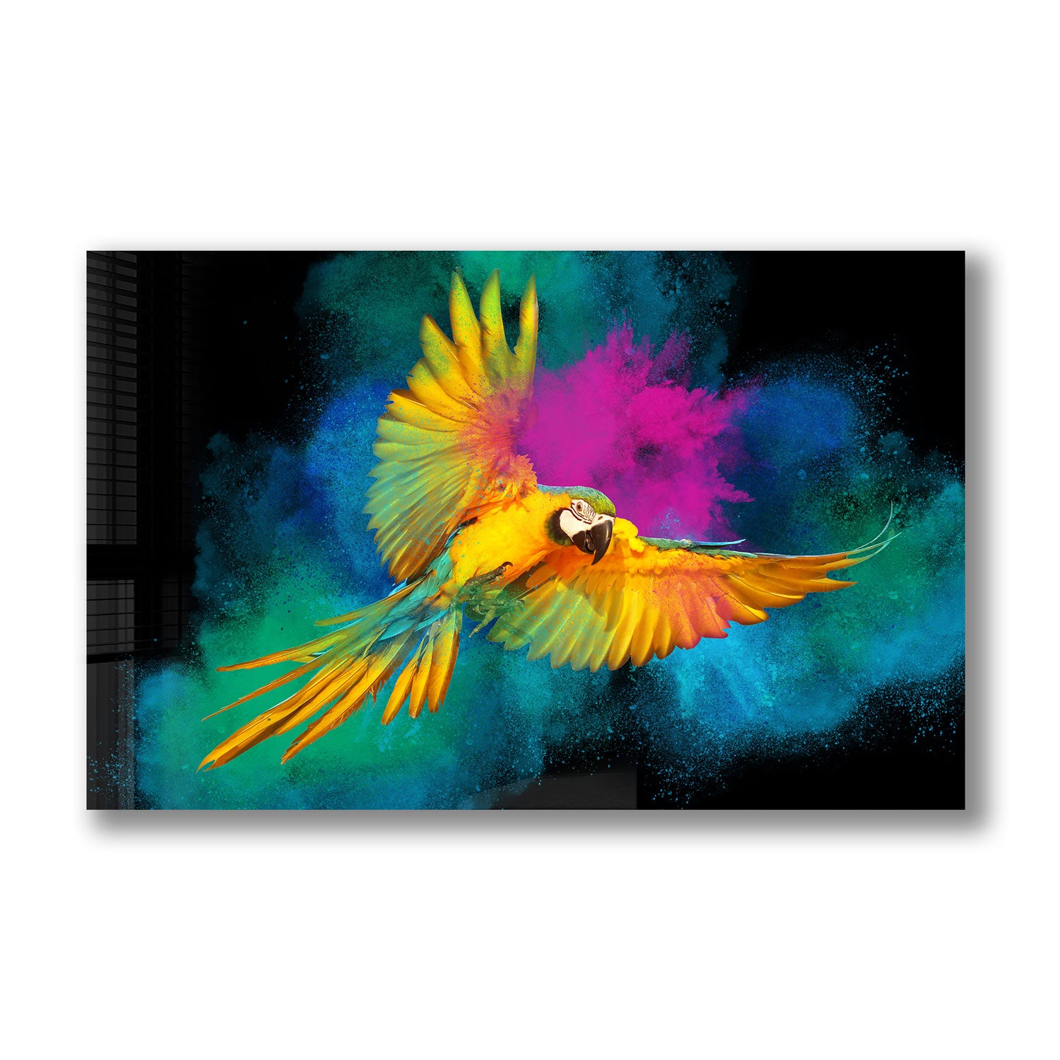 Rainbow Parrot - Tempered Glass Wall Art