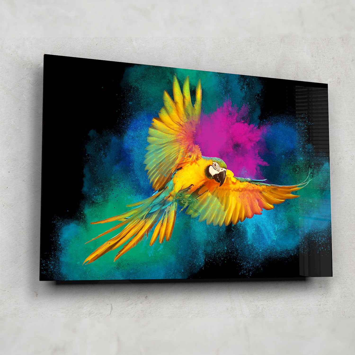 Rainbow Parrot - Tempered Glass Wall Art