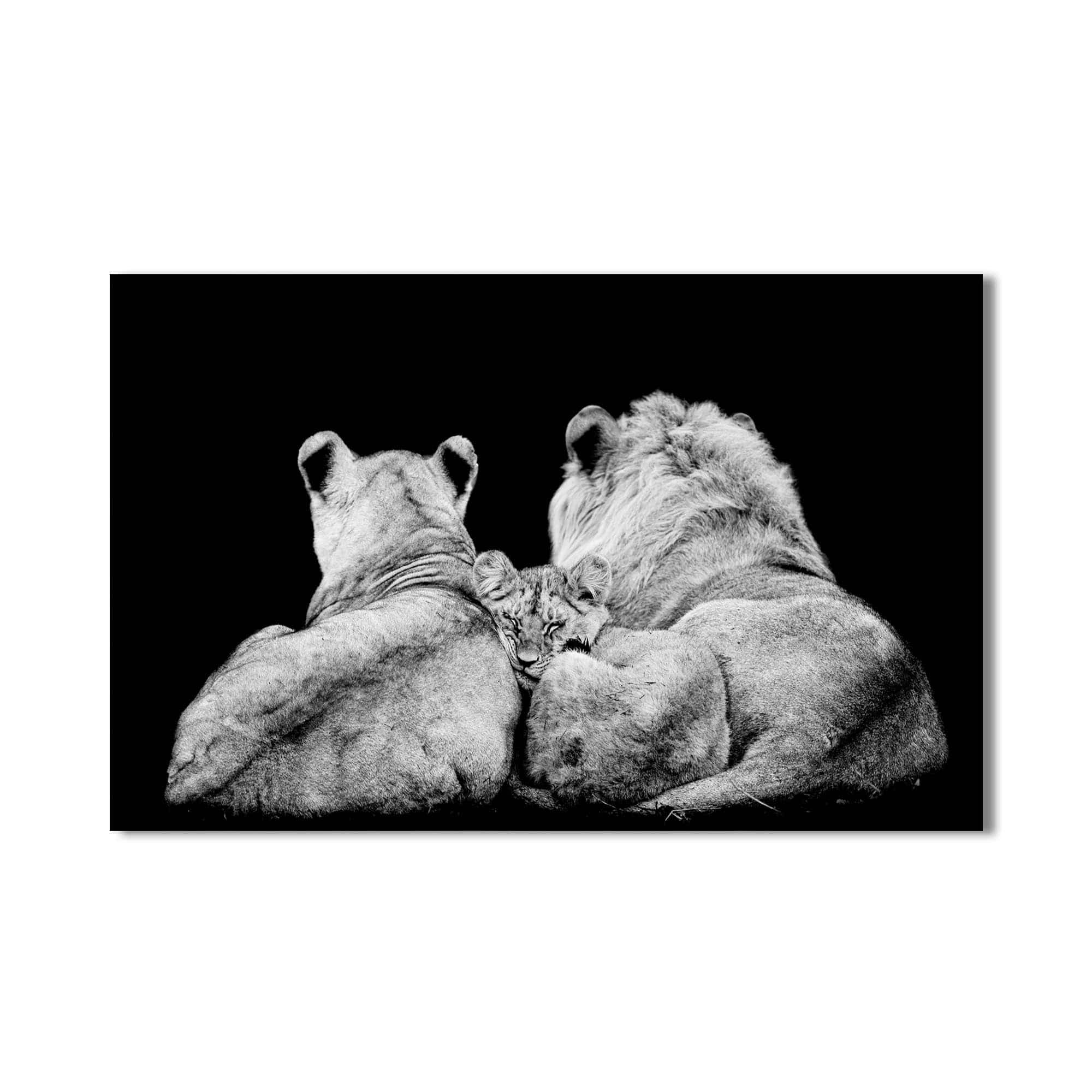 Artronauts Glass Print Family Guard – Animal Tempered Glass Wall Art