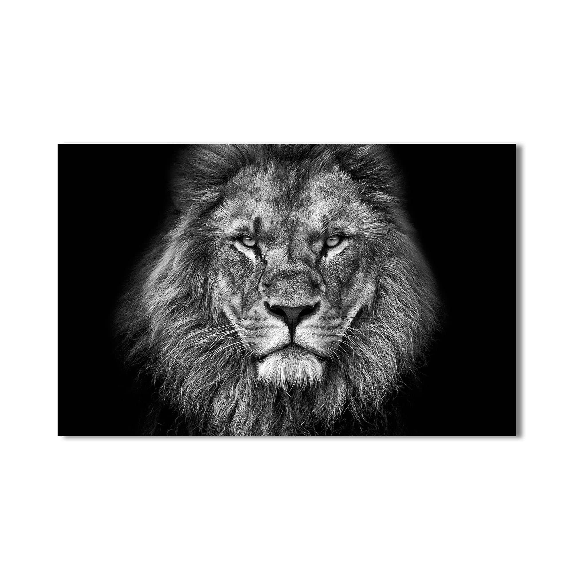 Artronauts Glass Print Monochrome Power Lion – Animal Tempered Glass Wall Art