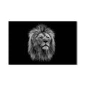 Artronauts Glass Print Noble Gaze Lion – Animal Tempered Glass Wall Art