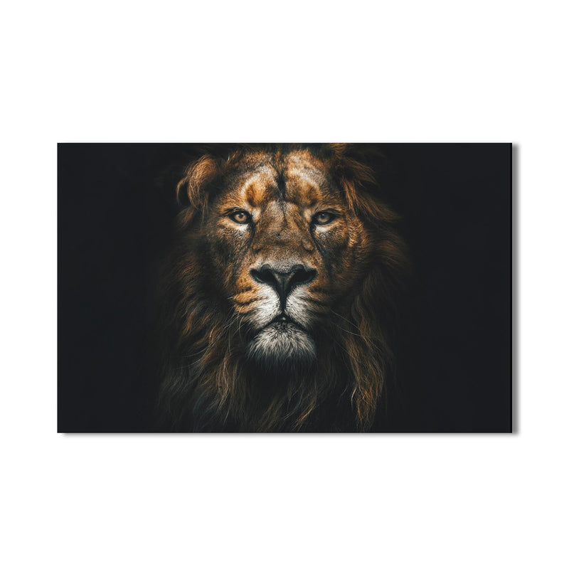 Artronauts Glass Print Regal Light Lion – Animal Tempered Glass Wall Art