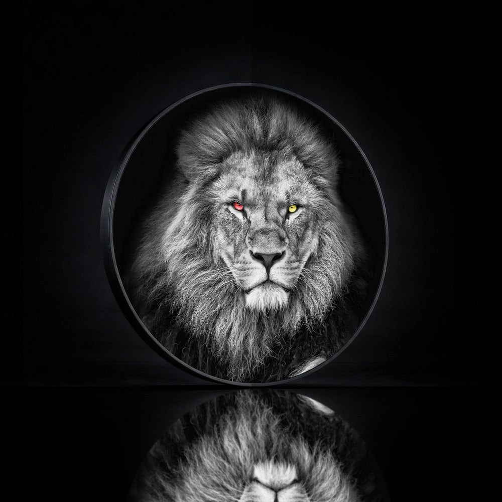 Artronauts Glass Print LION - Lumi™ LED Glass Wall Art
