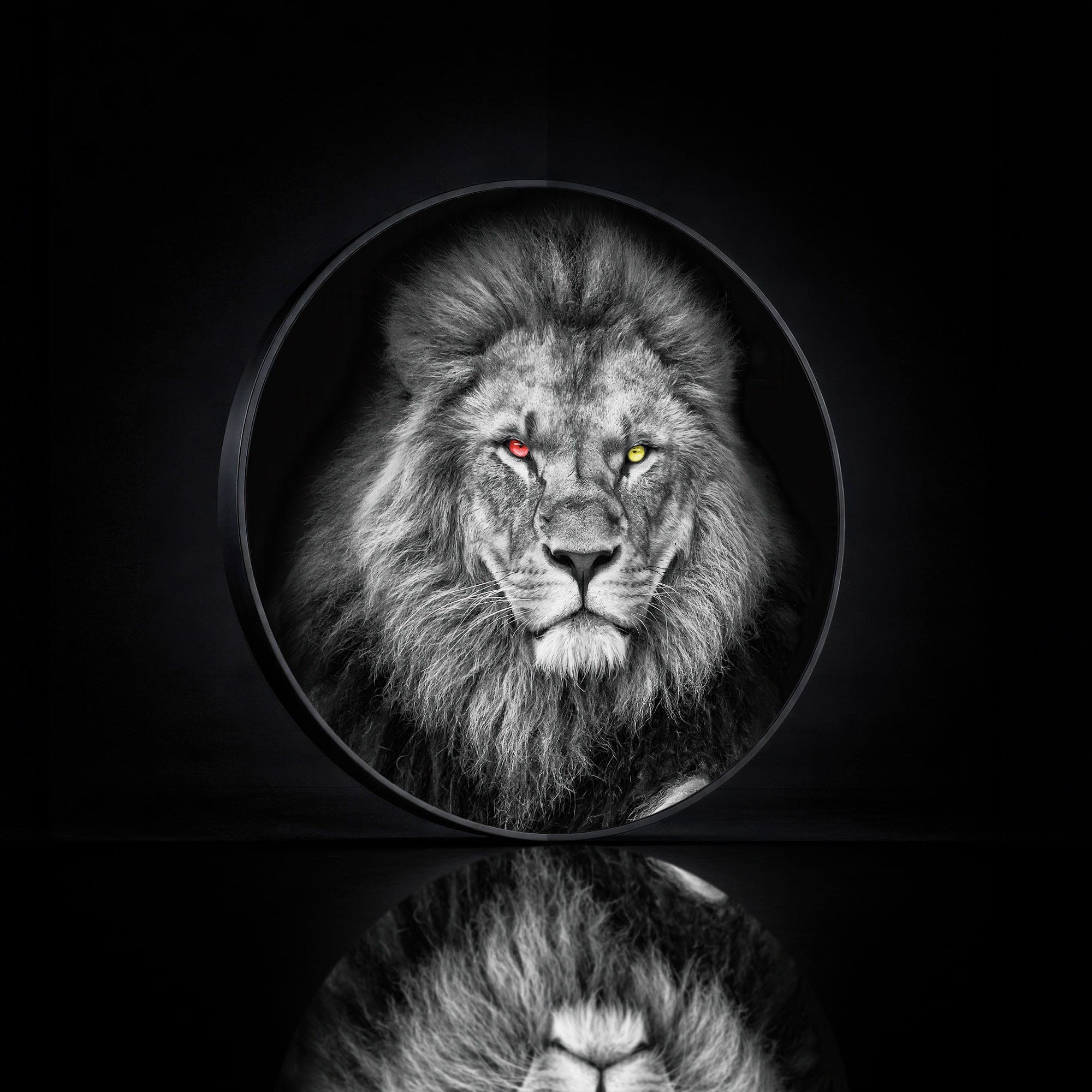 Artronauts Glass Print LION - Lumi™ LED Glass Wall Art