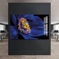 Artronauts Art Clearance T. Passionflower