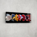 Artronauts Glass Print 92x36cm Betta Fishes - Panoramic