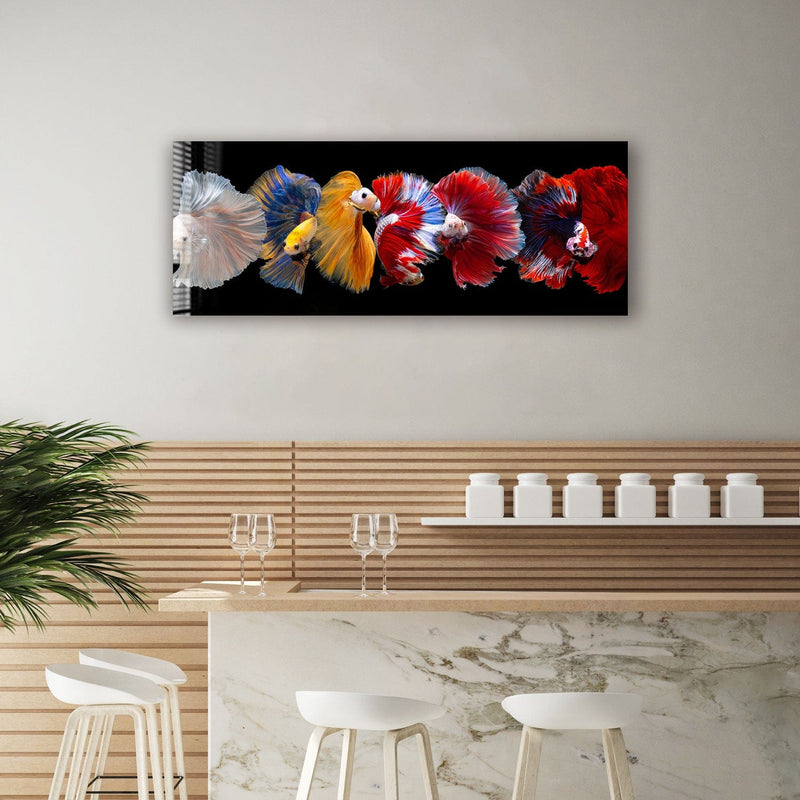 Artronauts Glass Print 92x36cm Betta Fishes - Panoramic