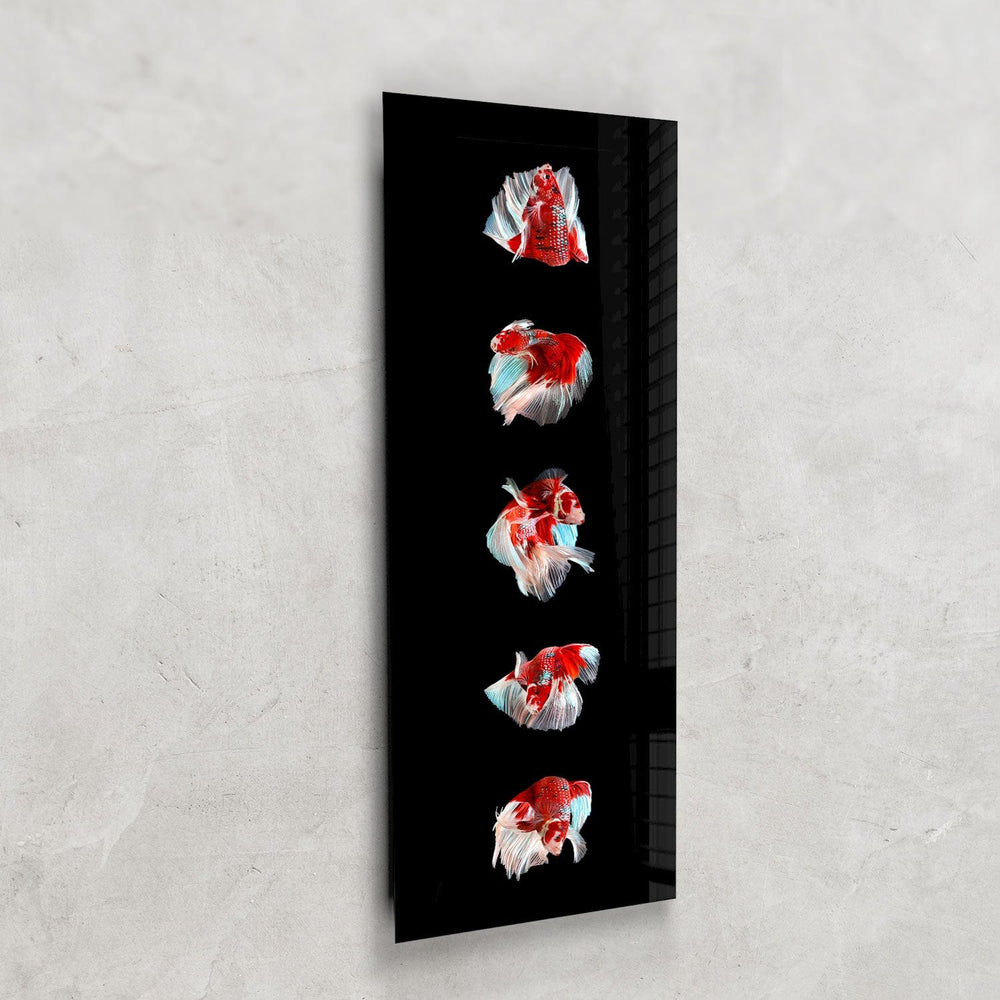 Artronauts Glass Print 92x36cm Betta Fishes - Panoramic