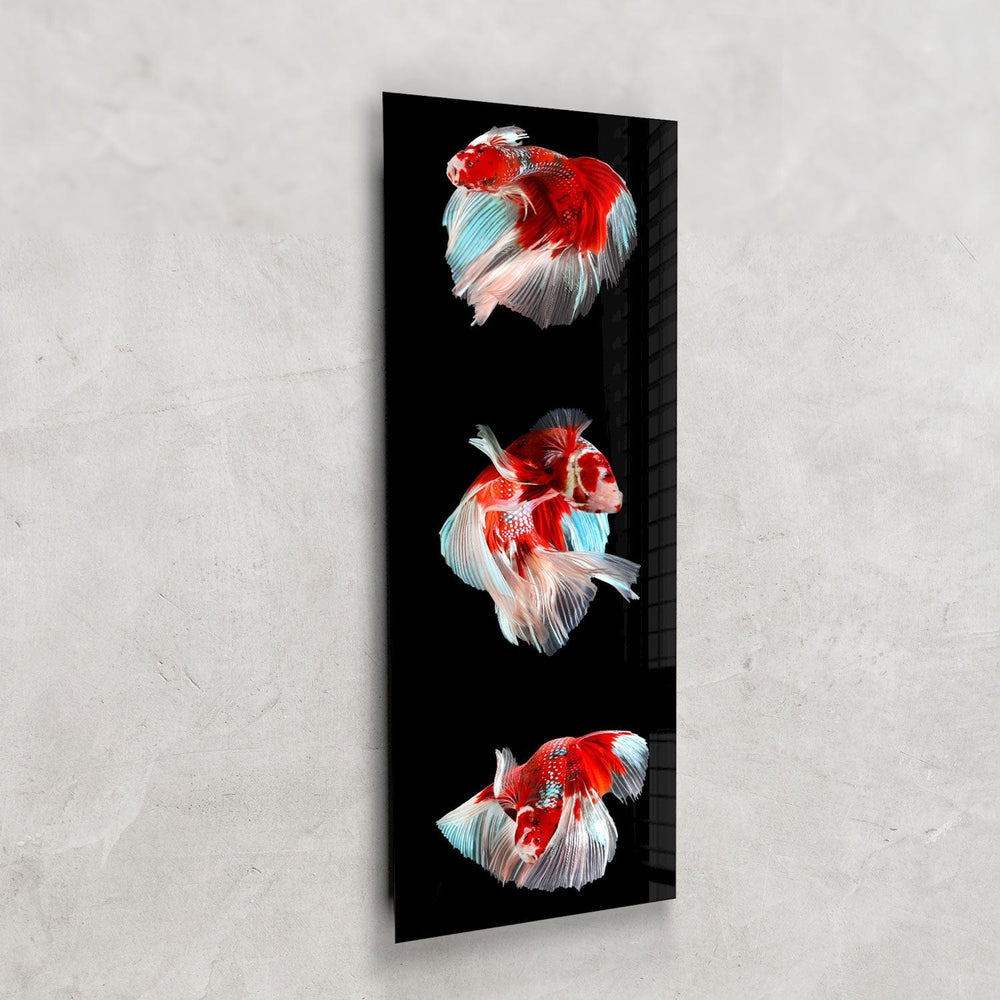 Artronauts Glass Print 92x36cm Trinity Betta Fishes - Panoramic