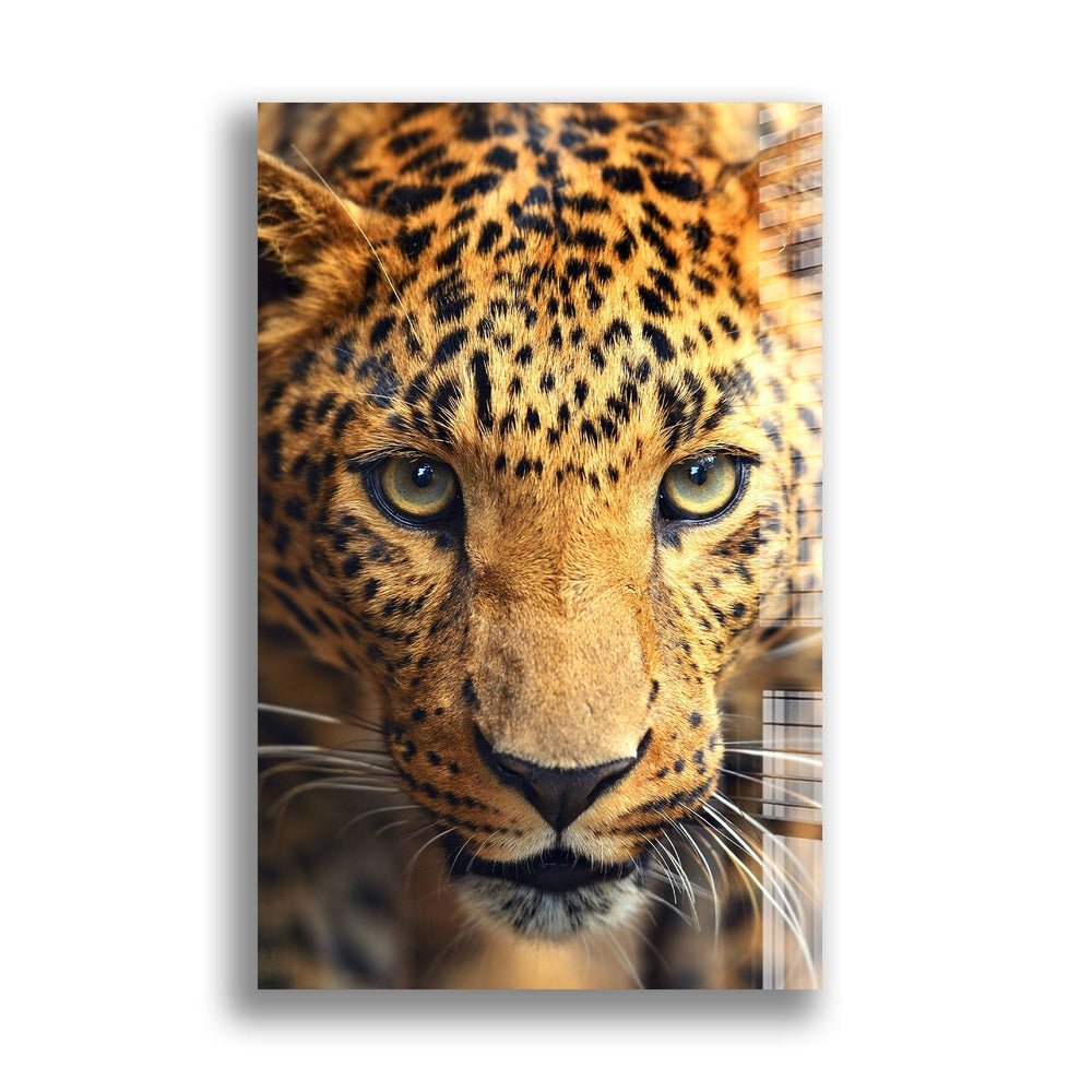 Artronauts Glass Print Hunter Leopard