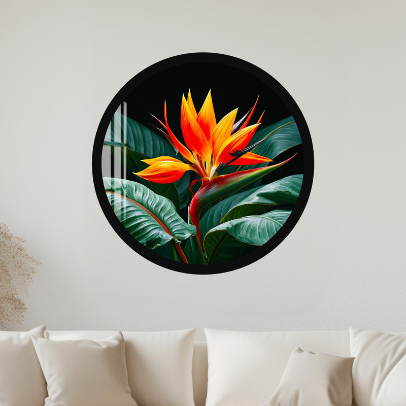 Tropical Bird Of Paradise with black frame