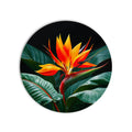 Tropical Bird Of Paradise product shot on white background