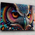 Artronauts Glass Print Colourful Owl