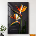 Bird Of Paradise Blooms lifestyle view