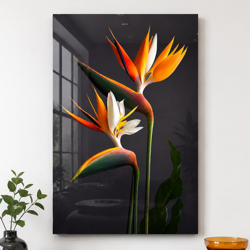 Bird Of Paradise Blooms lifestyle view