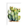 Blooming Prickly Pear product shot on white background