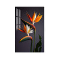 Bird Of Paradise Blooms product shot on white background