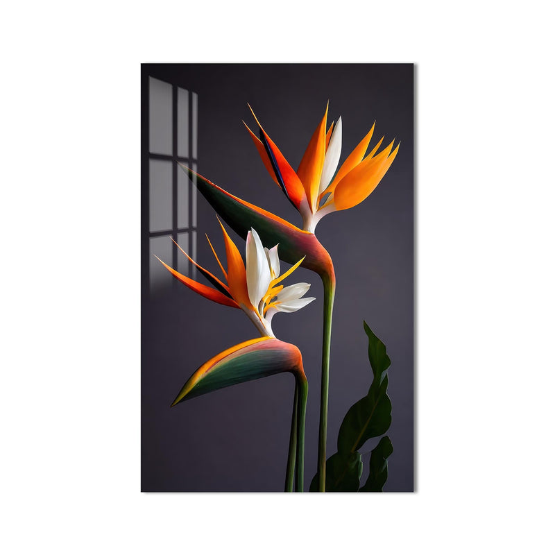 Bird Of Paradise Blooms product shot on white background