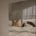 Cozy Bunny Bedmates lifestyle view