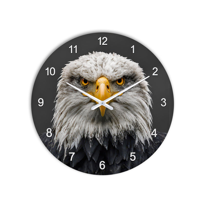 Majestic Bald Eagle lifestyle view