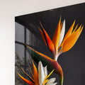 Bird Of Paradise Blooms lifestyle view